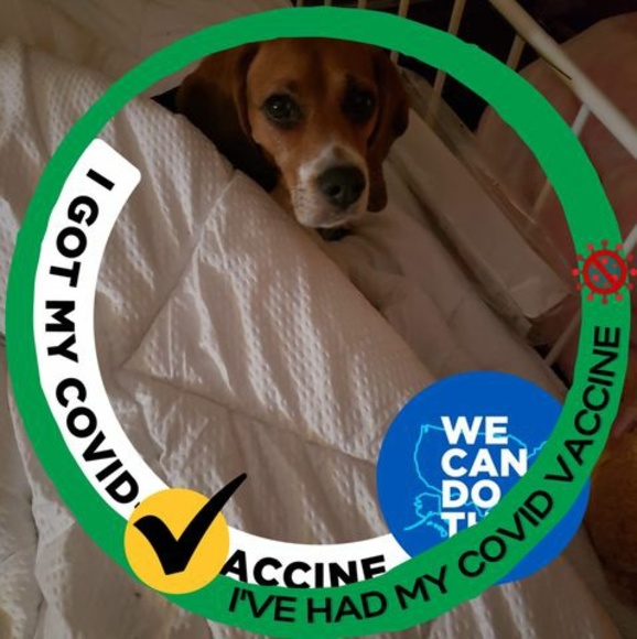 Meet your Posher, Eva - Picture 1 of 1